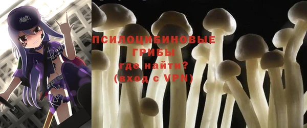 прущая мука Корсаков