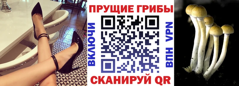 Галлюциногенные грибы MAGIC MUSHROOMS  Сысерть 